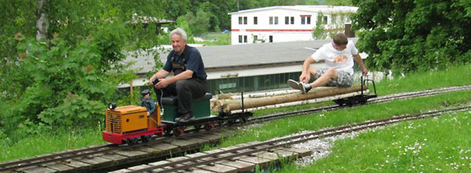 Holztransport mit Diesellok (Quelle: www.diebockerlbahner.de)